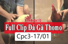 admin ajax 14 230x150 1