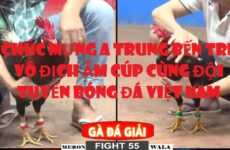 photo 2025 01 05 23 30 12 230x150 1